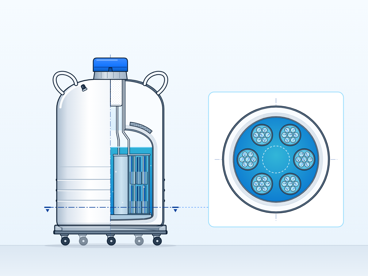 YDS-50 open-neck liquid nitrogen biological dewar on a roller base, half in section, with a plan view of the six canisters in the neck